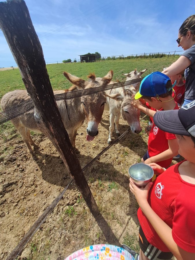 🐾☀️ Une magnifique sortie à la ferme pour nos Babys !